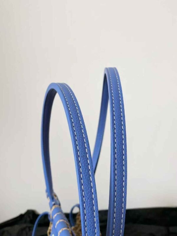 GOYARD Aligre bag
