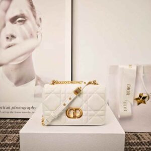 Soft Dior Caro Bag