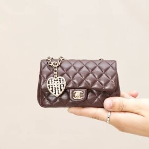 CHANEL Classic Mini Bag with hook