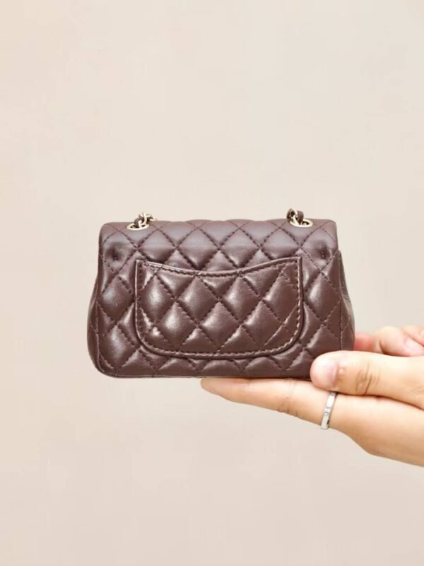 CHANEL Classic Mini Bag with hook