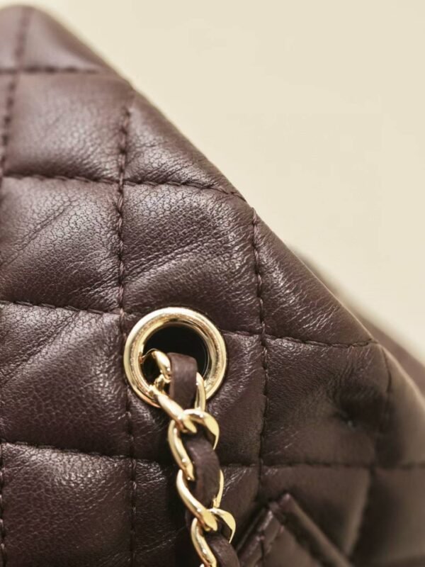 CHANEL Classic Mini Bag with hook