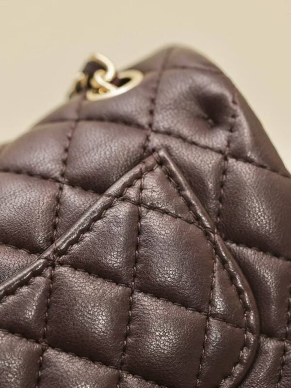 CHANEL Classic Mini Bag with hook