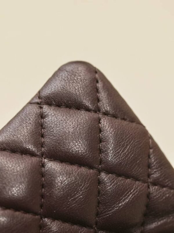 CHANEL Classic Mini Bag with hook