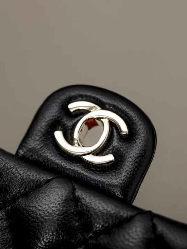 CHANEL Classic Mini Bag with hook