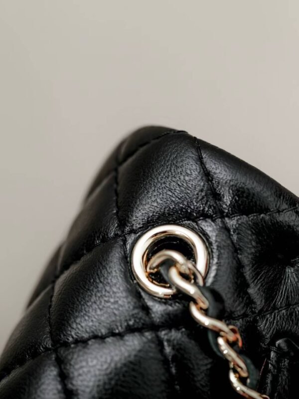 CHANEL Classic Mini Bag with hook