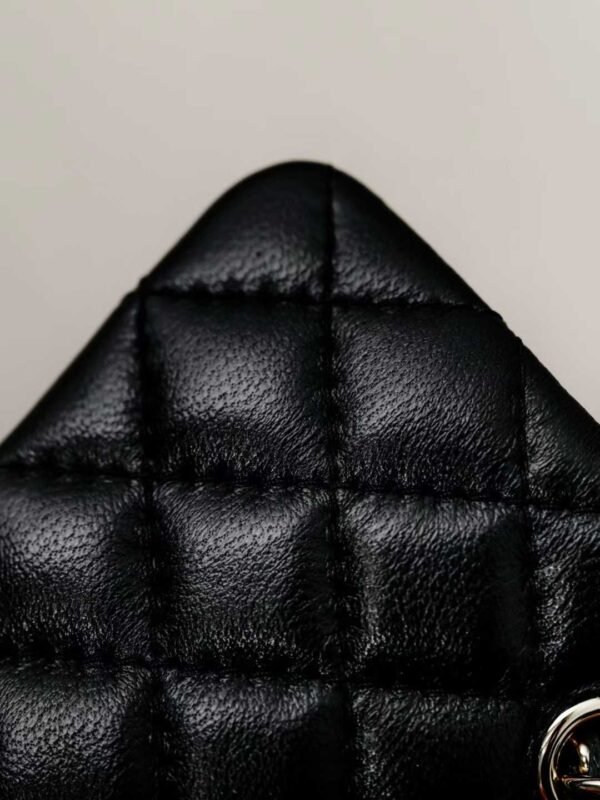 CHANEL Classic Mini Bag with hook