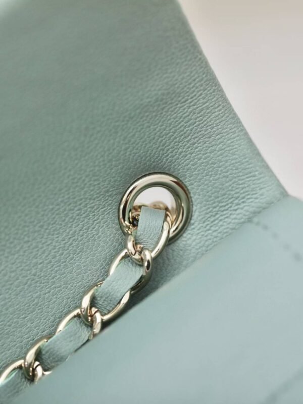 CHANEL Classic Mini Bag with hook