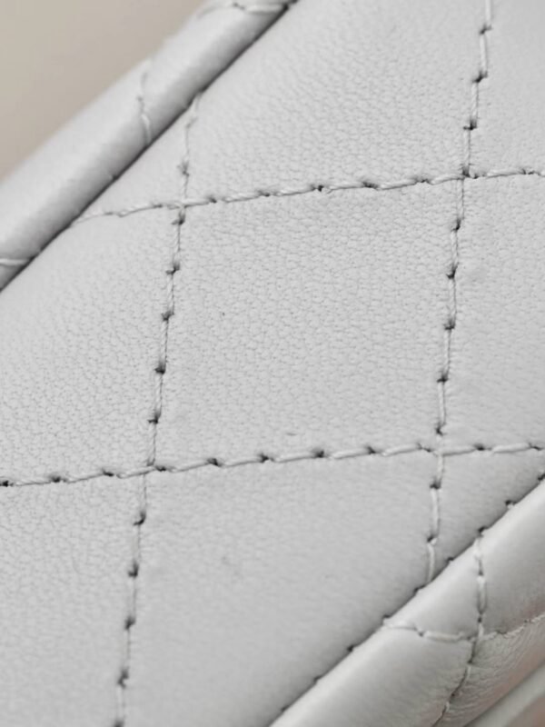 CHANEL Classic Mini Bag with hook