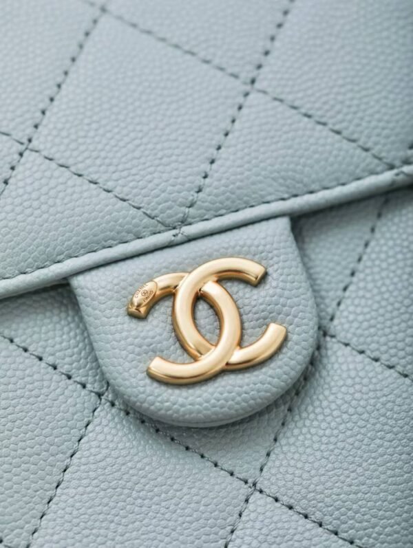 CHANEL 25 Small Handbag