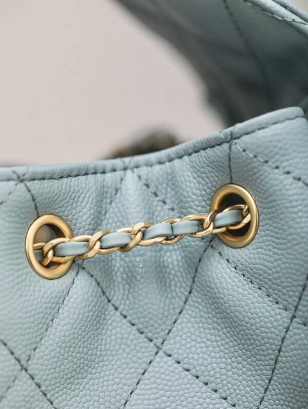 CHANEL 25 Small Handbag