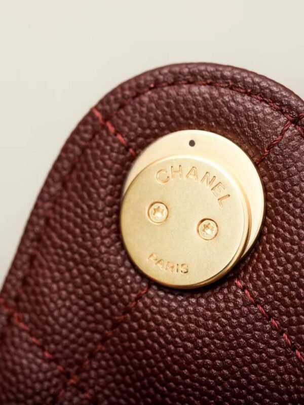 CHANEL 25 Small Handbag