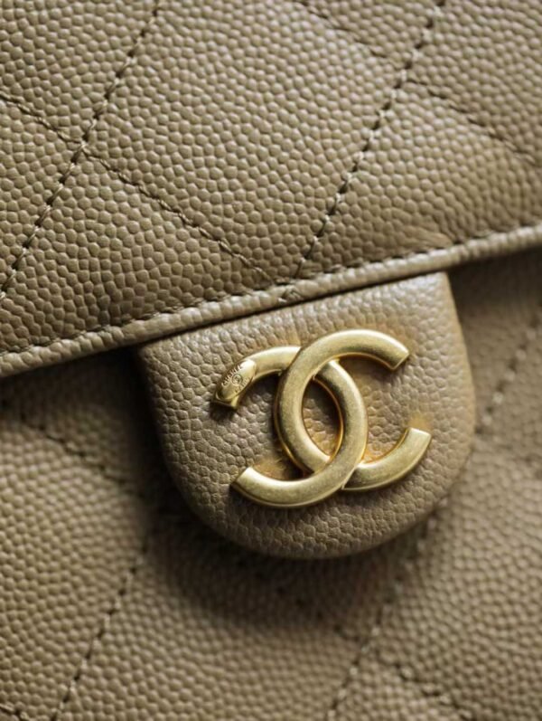 CHANEL 25 Small Handbag