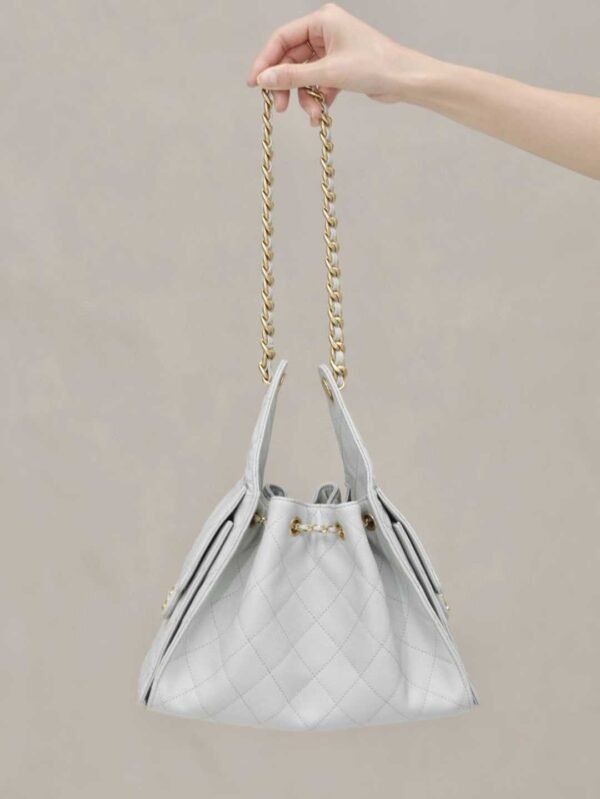 CHANEL 25 Small Handbag