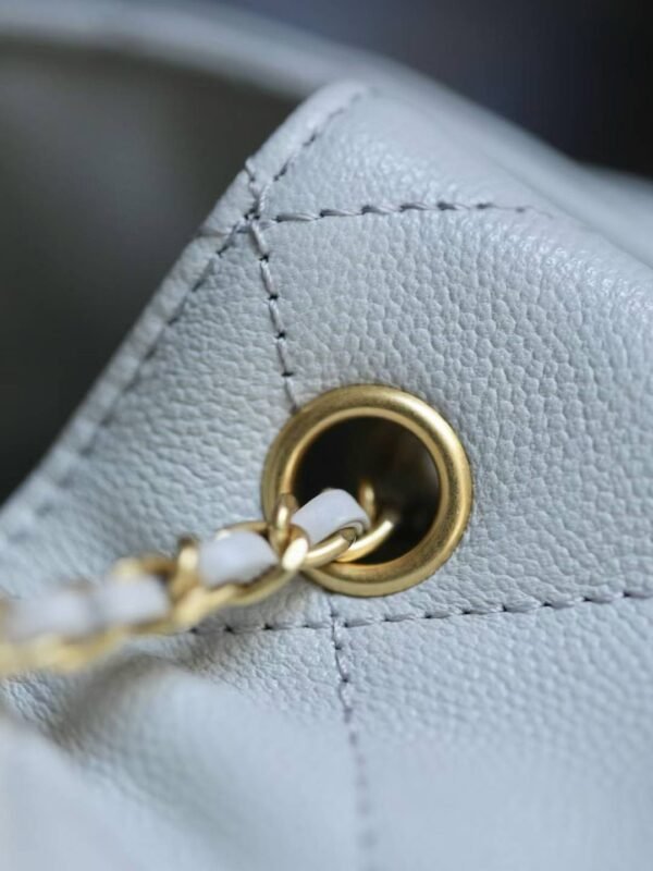 CHANEL 25 Small Handbag