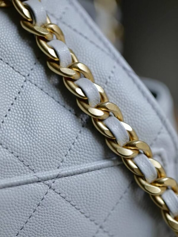 CHANEL 25 Small Handbag