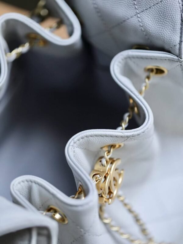 CHANEL 25 Small Handbag