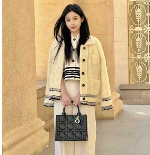 Small Dior Book Tote