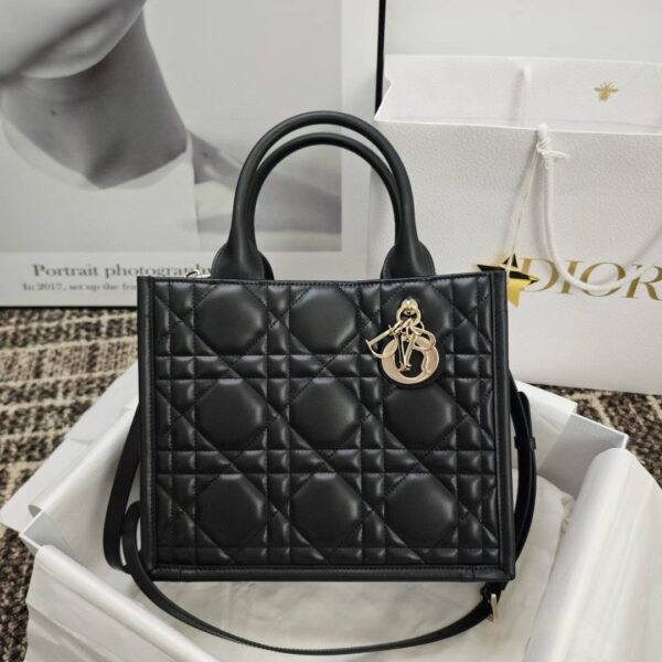 Small Dior Book Tote