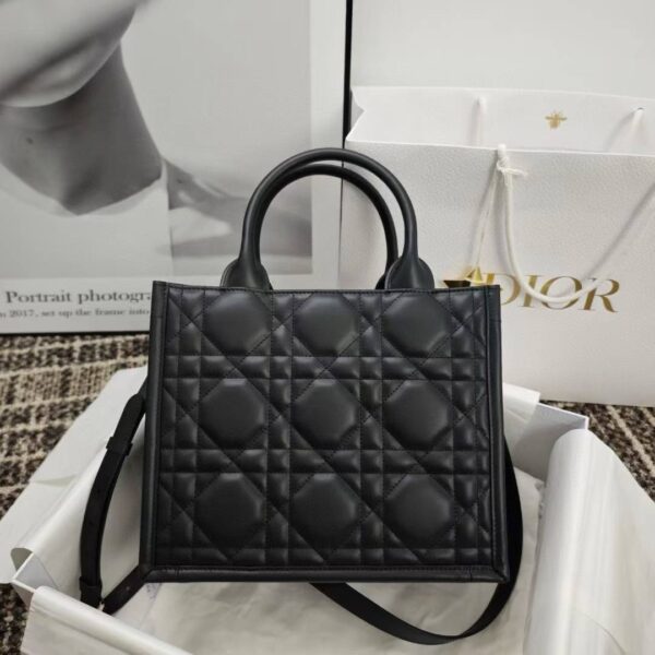 Small Dior Book Tote