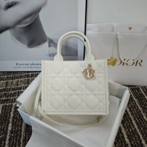 Small Dior Book Tote