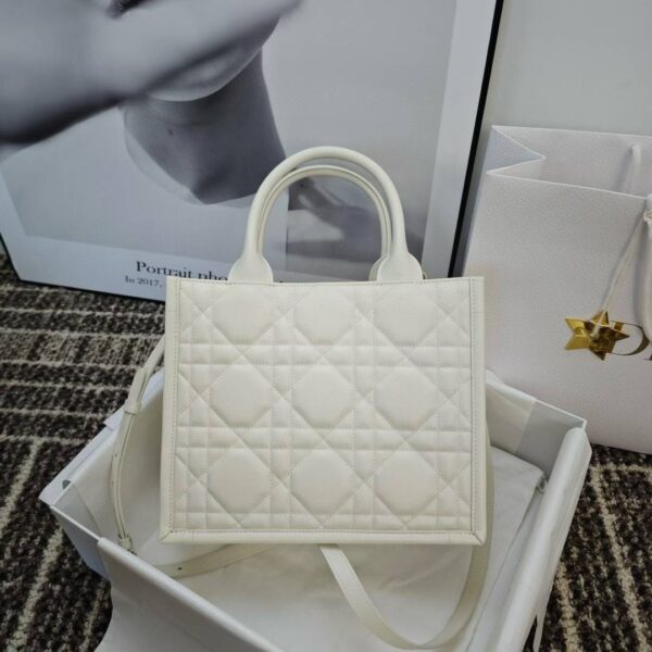 Small Dior Book Tote