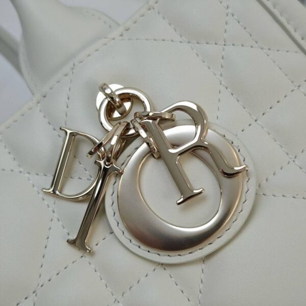 Small Dior Book Tote