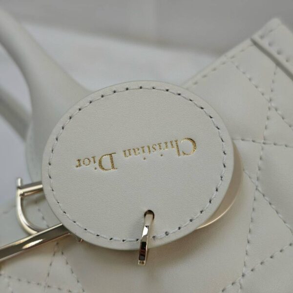 Small Dior Book Tote