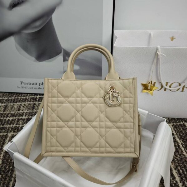 Small Dior Book Tote