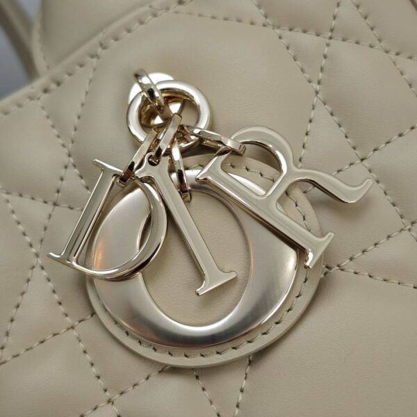 Small Dior Book Tote