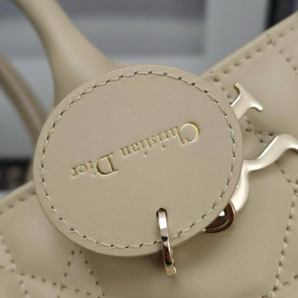 Small Dior Book Tote