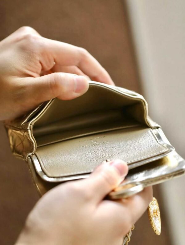 CHANEL Classic Mini Bag with hook