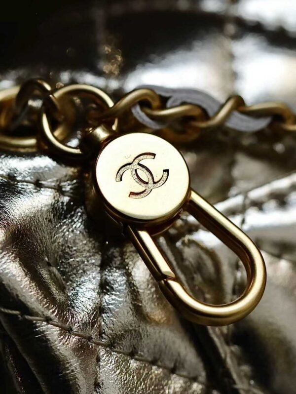 CHANEL Classic Mini Bag with hook