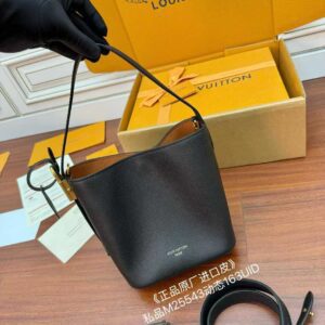 LOUIS VUTTON Low Key All In BB Bag