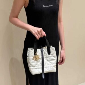 Dior Toujours Vertical Tote Bag