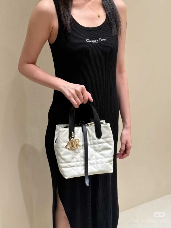 Dior Toujours Vertical Tote Bag