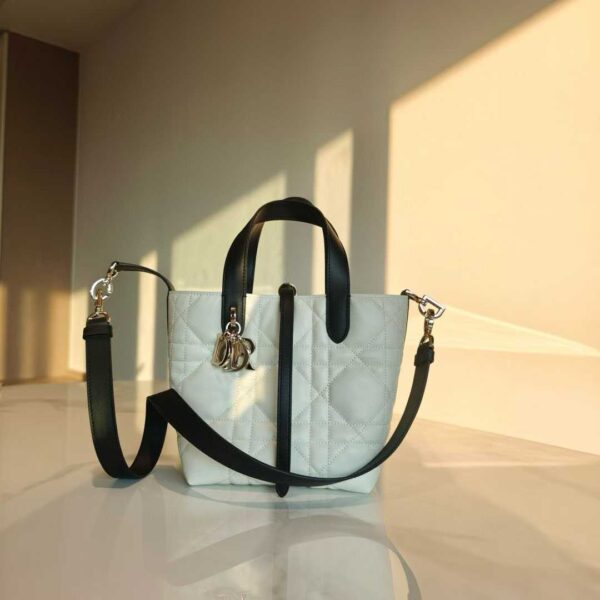 Dior Toujours Vertical Tote Bag