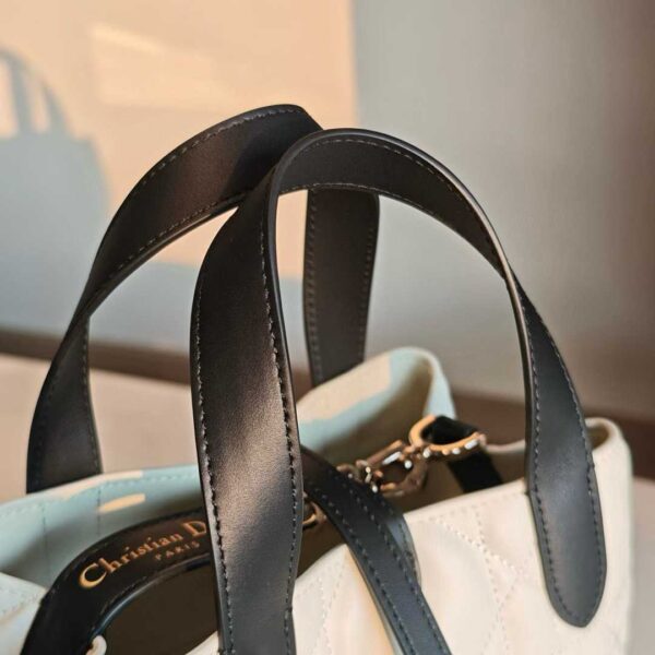 Dior Toujours Vertical Tote Bag