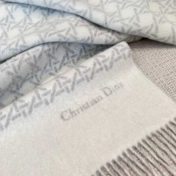 DIOR Scarf