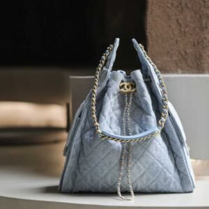 CHANEL 25 HANDBAG (003)