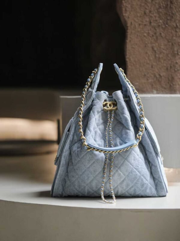 CHANEL 25 HANDBAG (003)