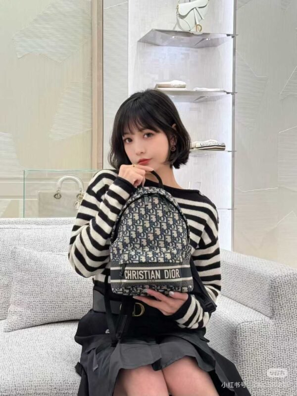 Small DiorTravel Backpack