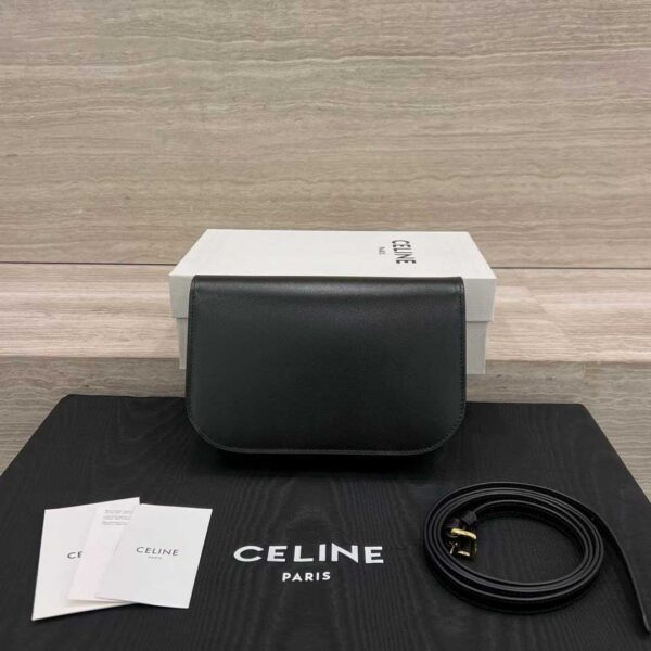 CELINE DUO WALLET ON STRAP IN Triomphe Canvas and Calfskin