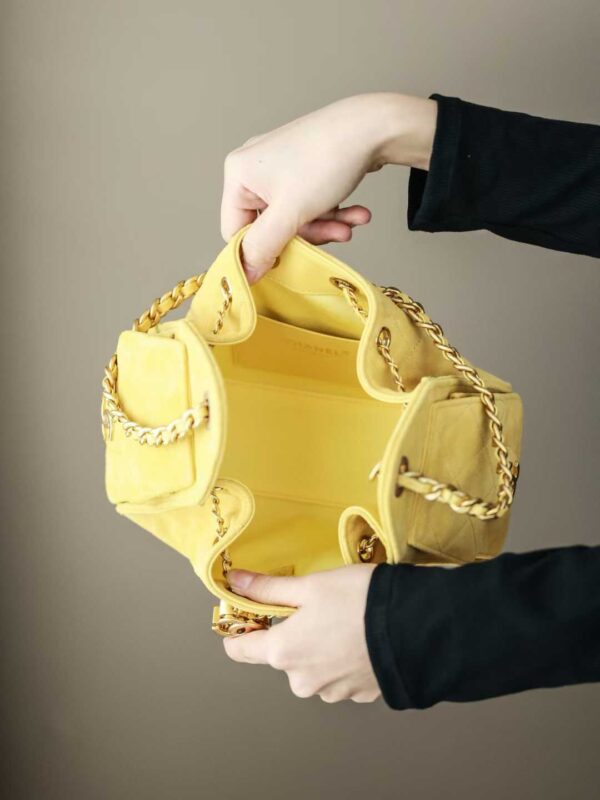 CHANEL 25 Mini Handbag