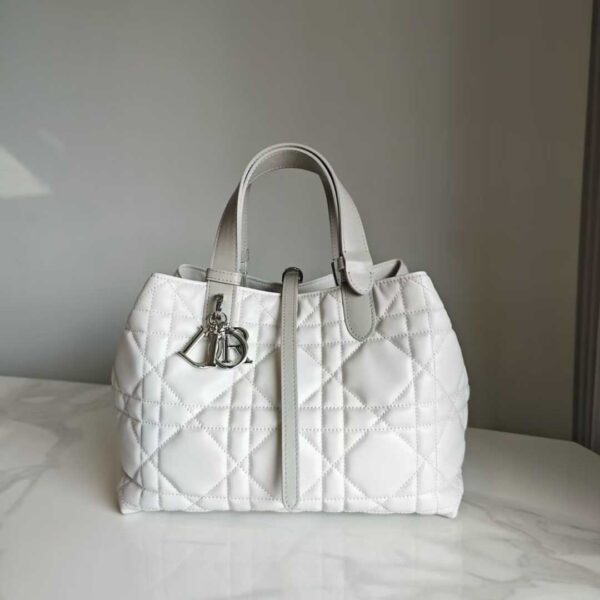 Dior Toujours Vertical Tote Bag