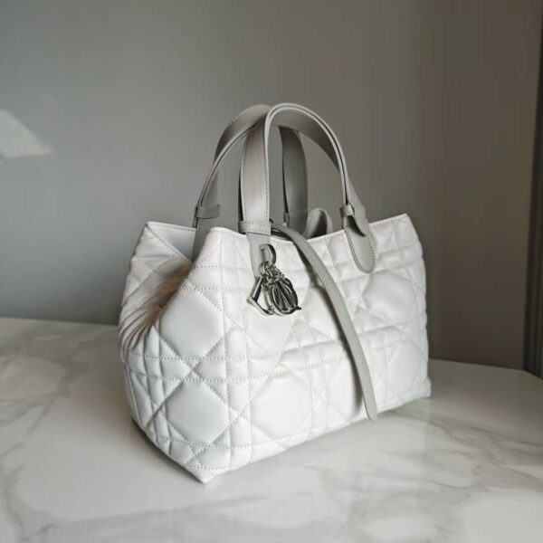 Dior Toujours Vertical Tote Bag