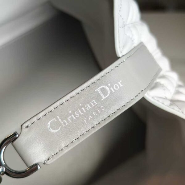 Dior Toujours Vertical Tote Bag