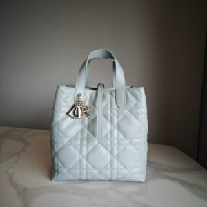 Dior Toujours Vertical Tote Bag