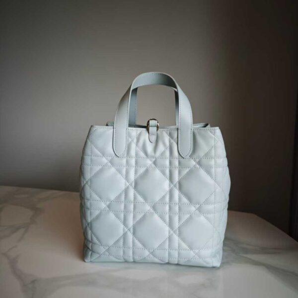 Dior Toujours Vertical Tote Bag