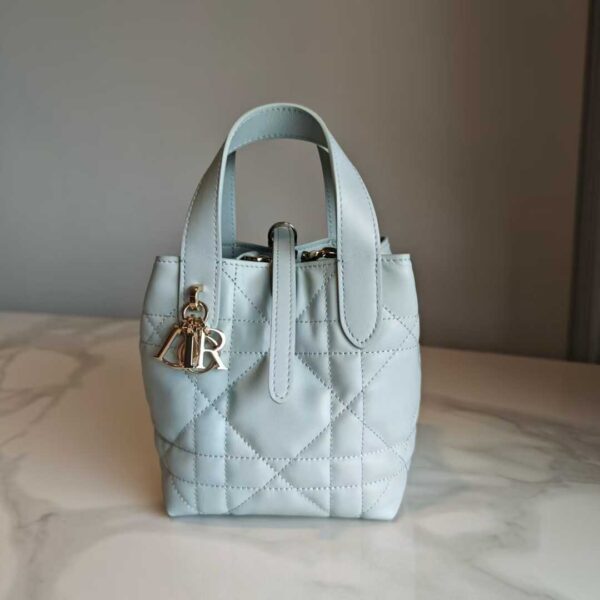 Dior Toujours Vertical Tote Bag