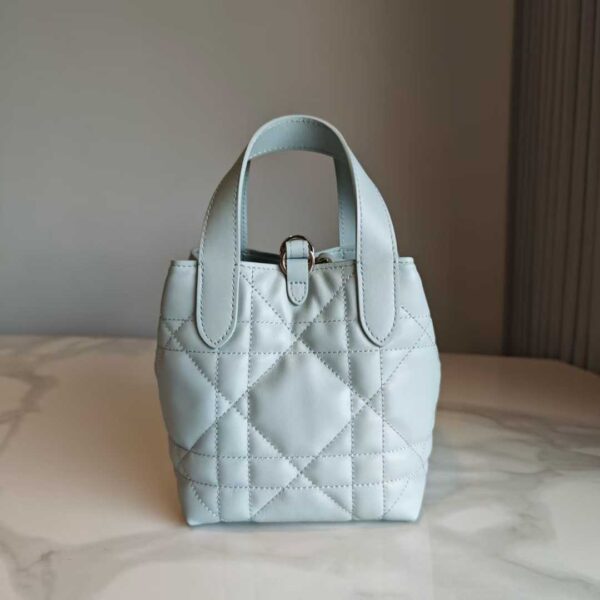 Dior Toujours Vertical Tote Bag